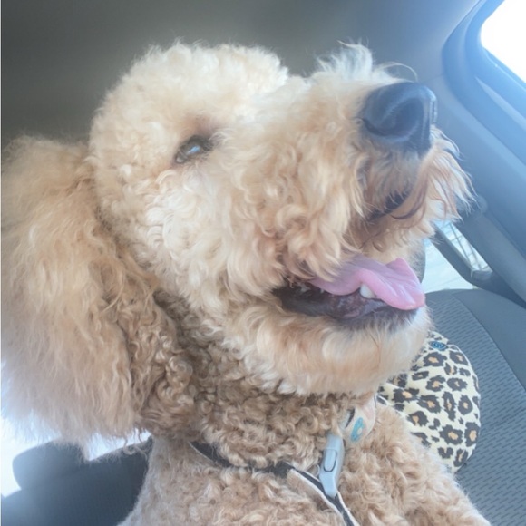 Monday FUN DAY March 4th - Picture 9 of 9